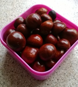 conkers
