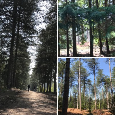 baba9960-c5b8-4a53-a054-98b0572c1057